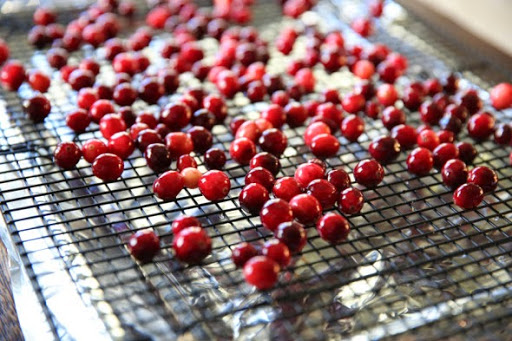 Sugared-Cranberries.jpg